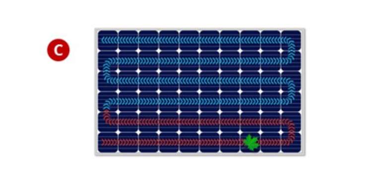 ombre feuille impact sur-production panneau solaire